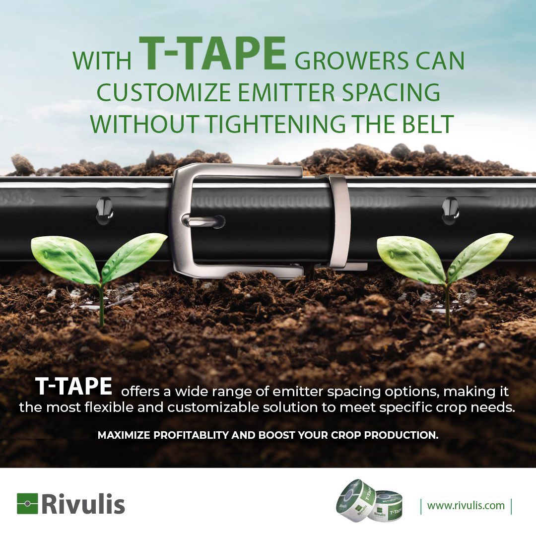JainsUSA's tweet photo. T-Tape offers:
✅Exceptional Water Distribution Uniformity
✅High Clog Resistance
✅Maximum Durability
✅Widest Option in Emitter Spacing Choice
Learn More at ➡️➡️➡️➡️https://t.co/8GPATZ52PA.
#water #Irrigation #GrowBeyond #Morecropperdrop #driptape #agriculture https://t.co/cdVNcCJSLL