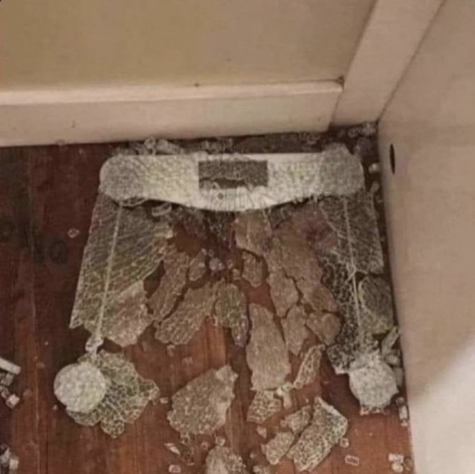 just weighed my freaking penis https://t.co/WeR71ne25g