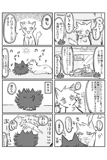 ねこ五夏4 