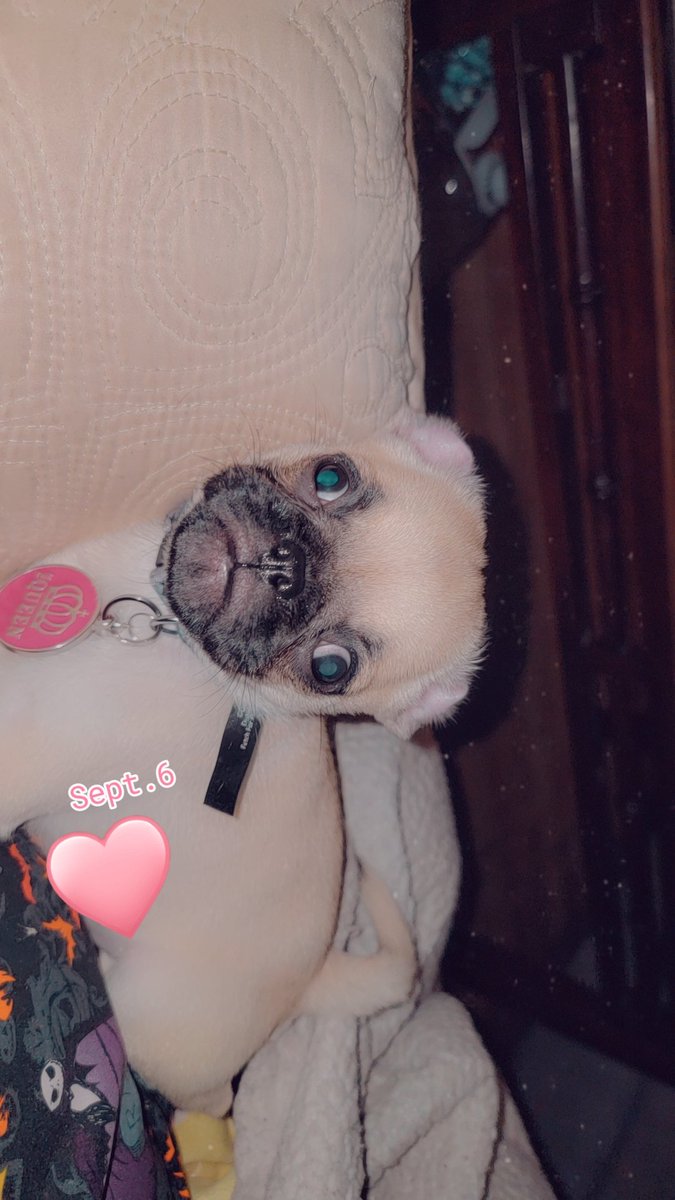 TheTickerBoo's tweet image. Eden