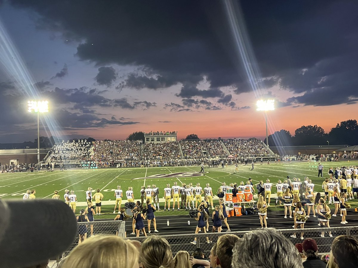 Julie Holt tweet media