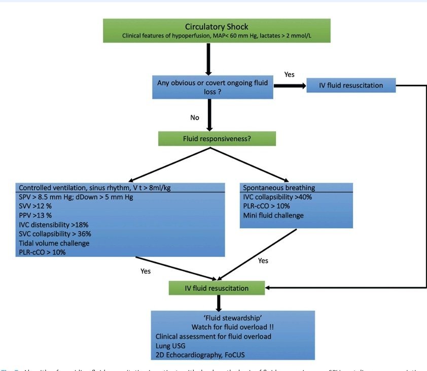 LeslieMegom's tweet photo. 🔎Monitoreo de la macro🔆 y la microcirculación🔅 en pacientes críticos🛌: Excelente 👍revisión 
👇👇👇👇👇
https://t.co/uXqUeZr0fT
🗝🔓
https://t.co/nZdFYlZlJ4 https://t.co/kJQhXnX4SI