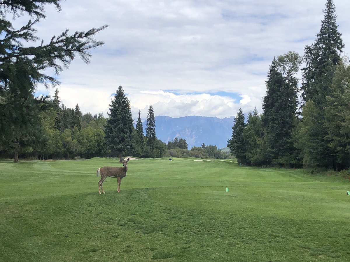ToddSaelhofPM's tweet photo. Great day at @steugeneresort. Weather was beautiful. Course in fantastic shape. Such a wonderful first day on trip through #GolfKimberley https://t.co/w5LJ96cOLq
