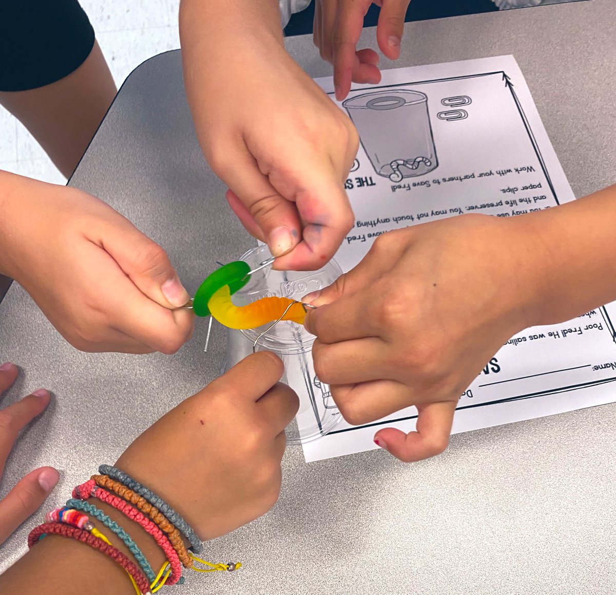 Melissa Seco tweet media