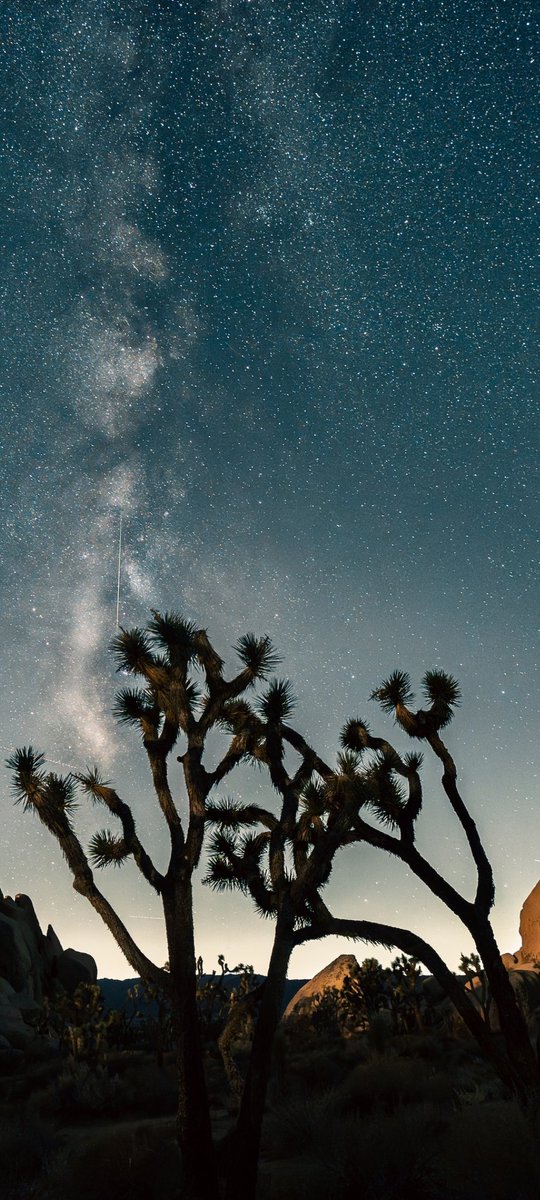 app_settings's tweet image. this is my current setup! (paranoid android based android 13)
show me yours?

wallpaper attached :)