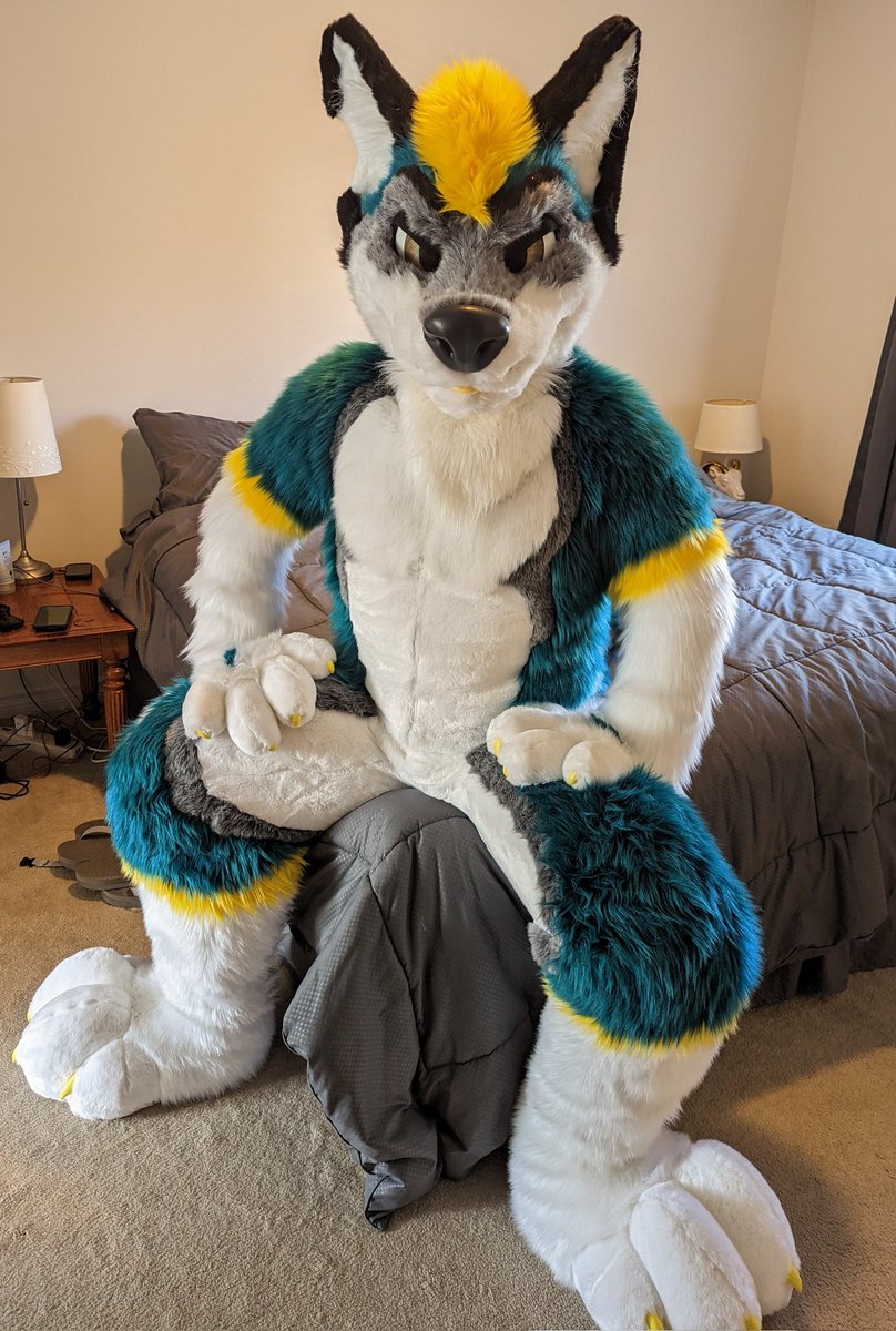 At Furry Migration! Come and give a hug, don't be shy ;3

<a href="/TwinkyArts/">Twinky Arts✨</a>  : Sheperd 
<a href="/WaggeryCos/">Waggery Costumes</a> : Cresent