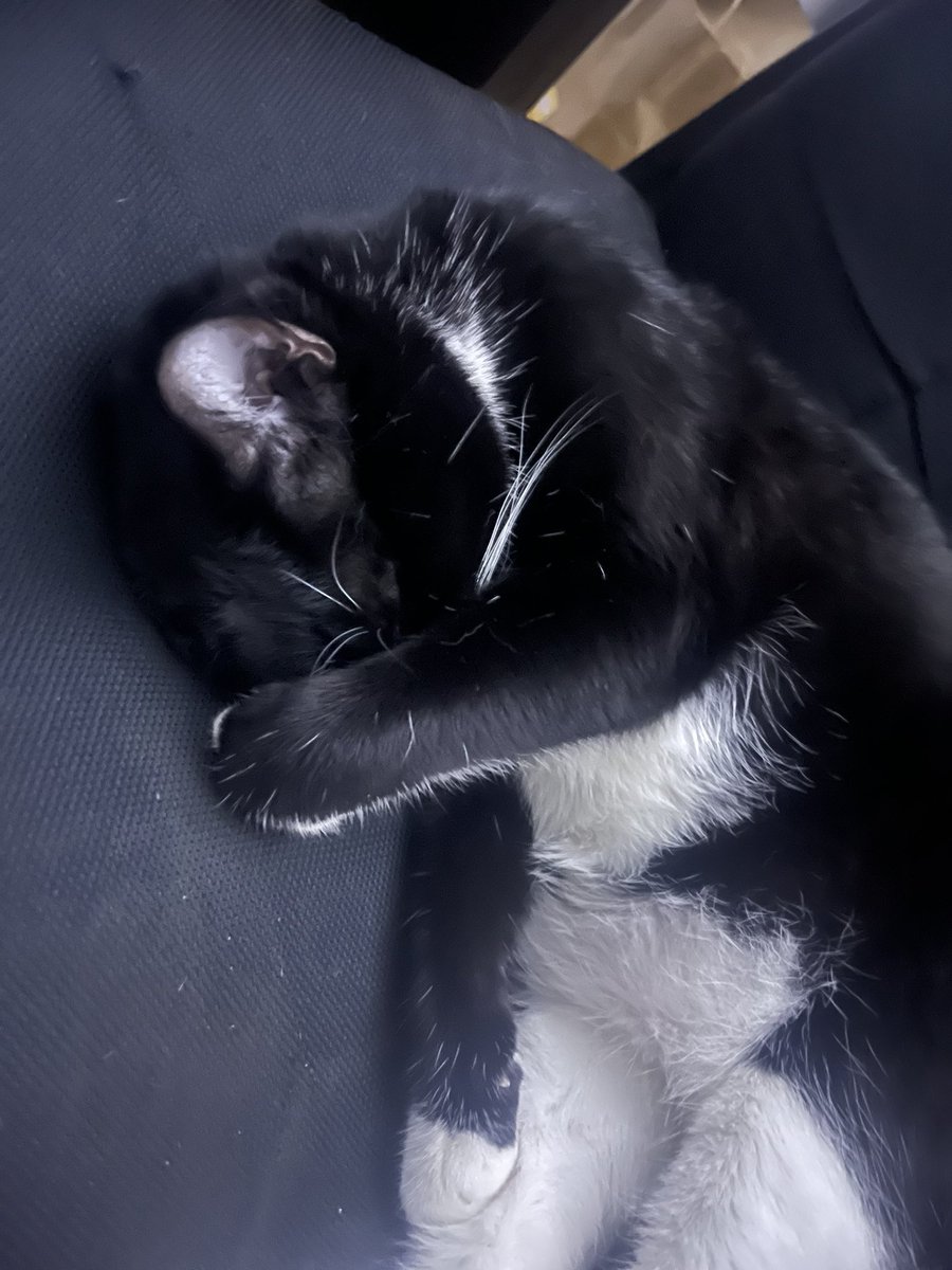 no pics please