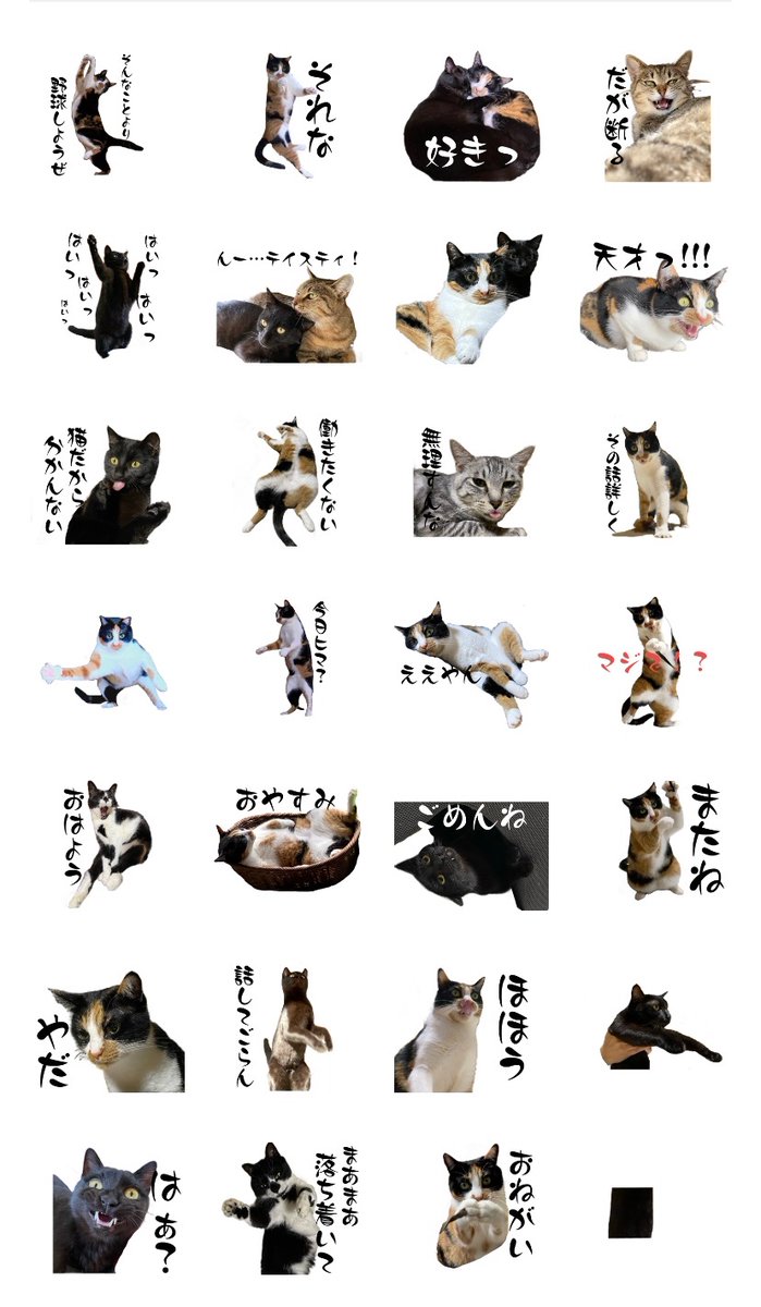 ソラネコさんち (@mofgedama) / Posts / X