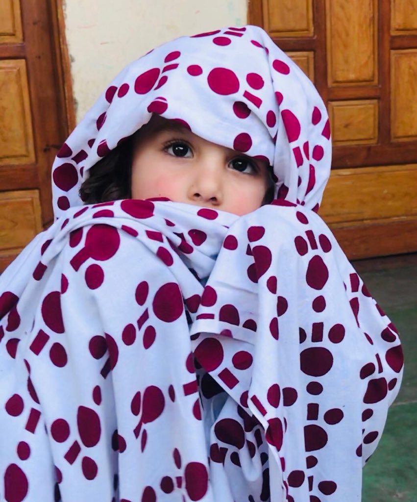no_ones88's tweet photo. When you see this type of sadar !
#Chail #Paroni .
Then welcome to sawabi ❤️
Khkuly khkuly da #swabi https://t.co/TR1ju5TaGq