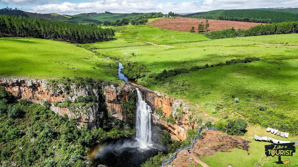 Mark Sham tweet media