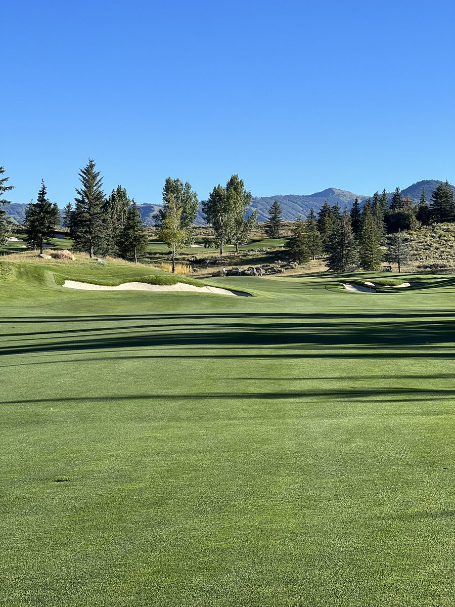 This course?