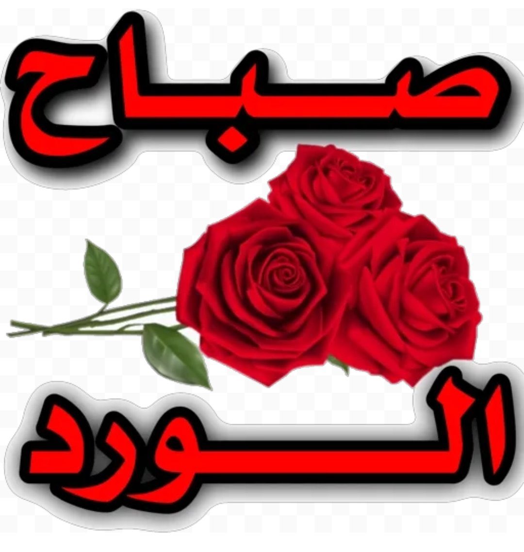 rahal56561's tweet photo. واللين باللين والود بالودِ، 
والباديء باللُطف تألَفهُ الروحُ وتهوَاه …

جلال الدين الرومي https://t.co/Gr2QGAc8zW