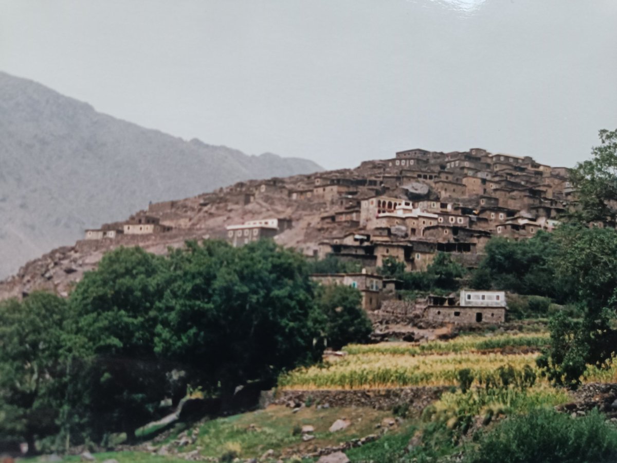 Sue Reed 📚 ✍️ 🌱🏅 tweet media