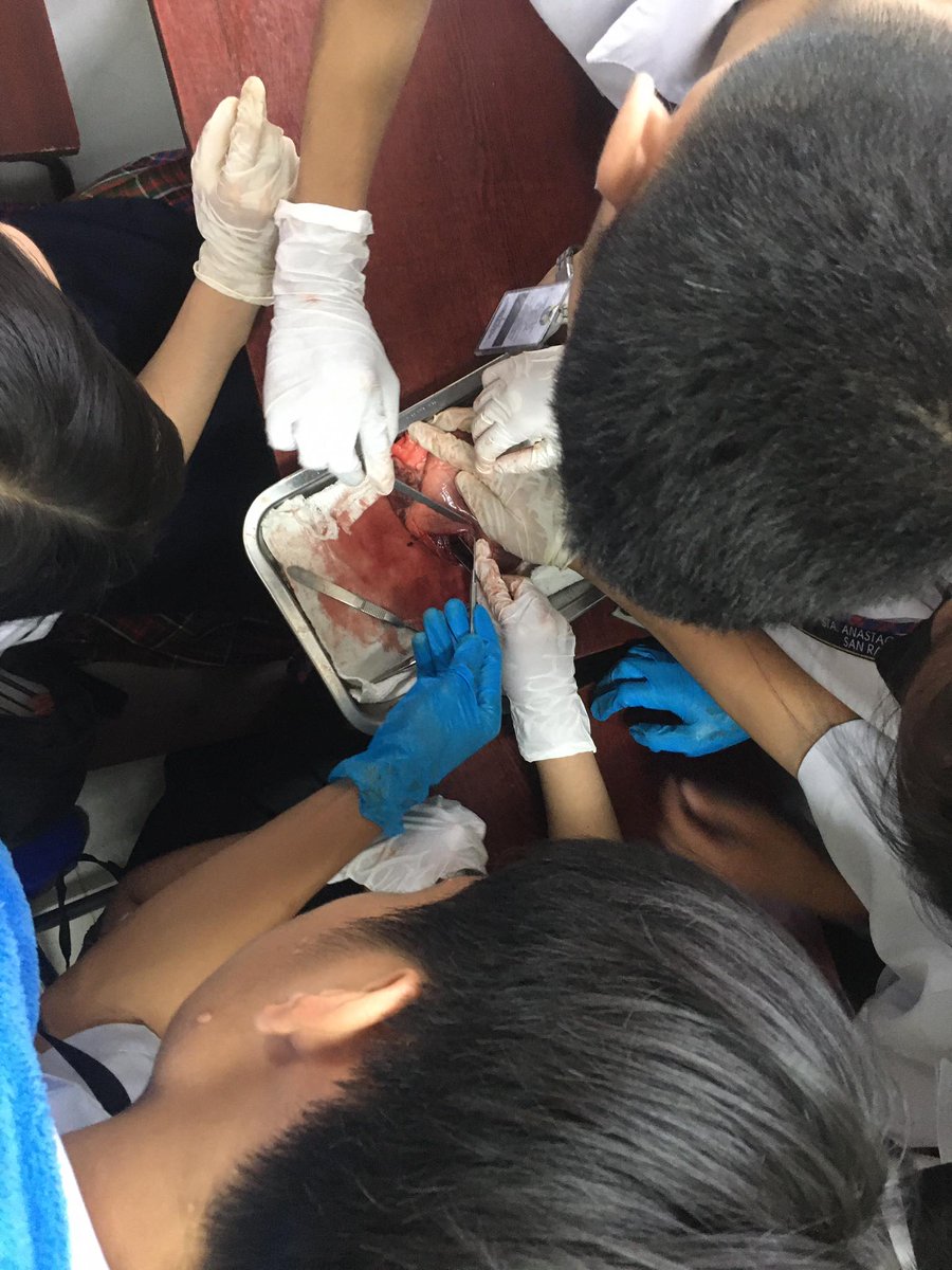 ilawop's tweet photo. Science https://t.co/aweEsUH2ik