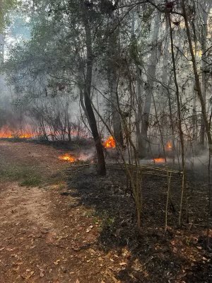 Ed Gonzalez tweet media