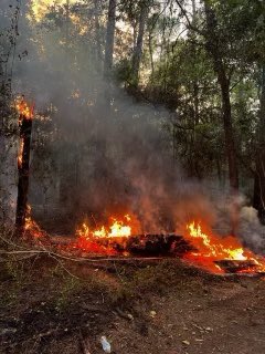 This is a Harris County Park. <a href="/HCSO_Parks/">HCSO Parks Unit</a> deputies have secured the park. #HouNews