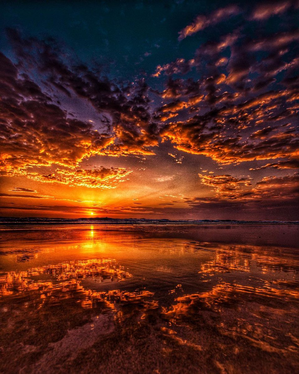 rudingar's tweet image. May your dreams be filled with beauty and sweetness. Good night.