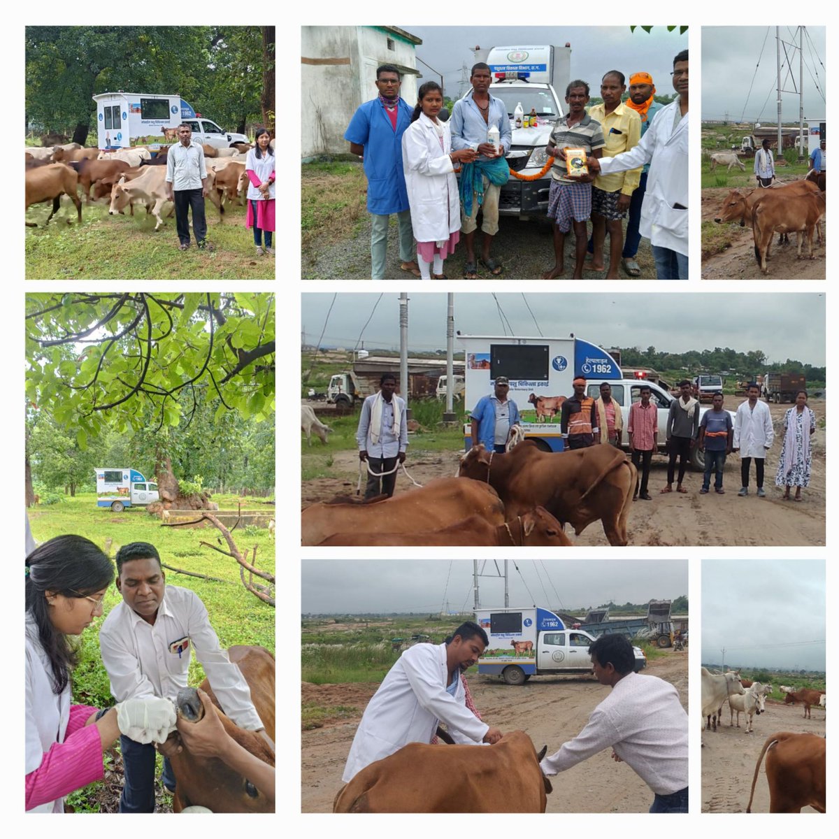 VetsKorba's tweet photo. Mobile veterinary van services at diffrent gauthan of Distt korba https://t.co/IdBKNvblFV