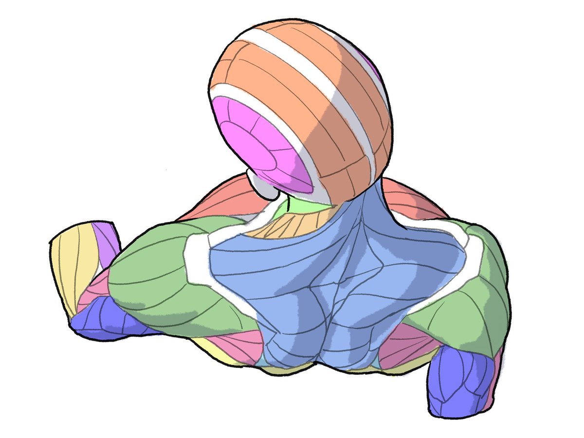 kato_anatomy's tweet photo. #一日一筋 https://t.co/7J5ENEbpg2