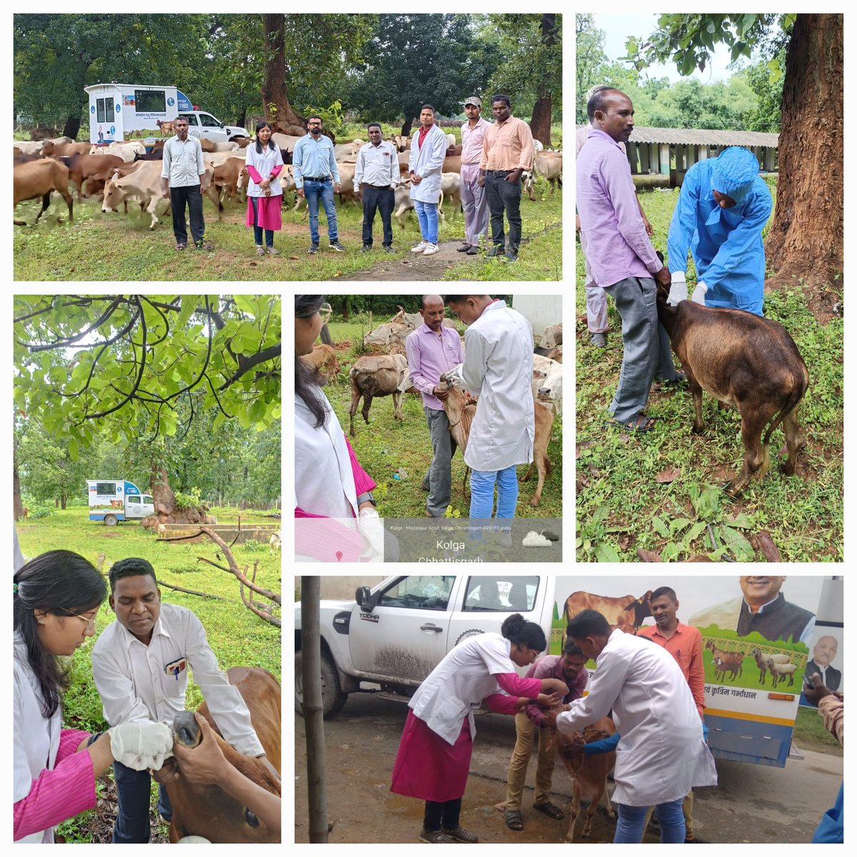 VetsKorba's tweet photo. Mobile veterinary van services at diffrent gauthan of Distt korba https://t.co/IdBKNvblFV