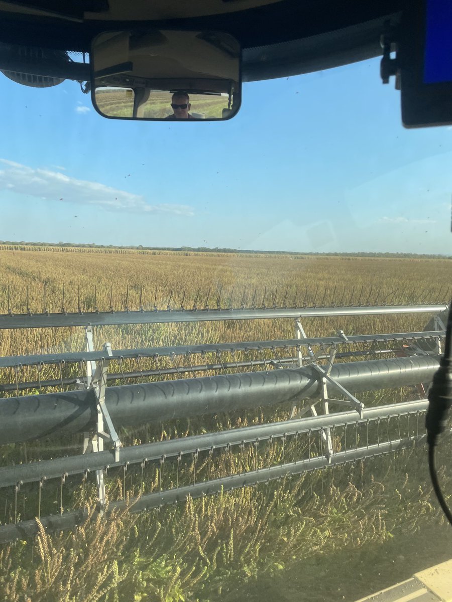 Fritz Bolten tweet media