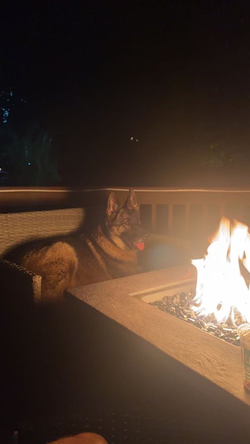 Enjoying an evening on the deck by the fire!  #GSD #workingdog #bluelivesmatterk9 #firstresponders #lawenforcement #ThinBlueLine #BackTheBlue #policek9 #k9 #k9team #k9unit #k9life #k9officer #k9gsds #k9officer #policedog #k9love #k9leadstheway #trainordie #retiredlife #retiredk9