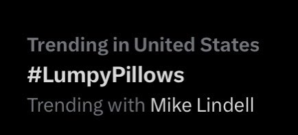 TG22110's tweet image. Sorry not sorry @realMikeLindell 
#LumpyPillows
