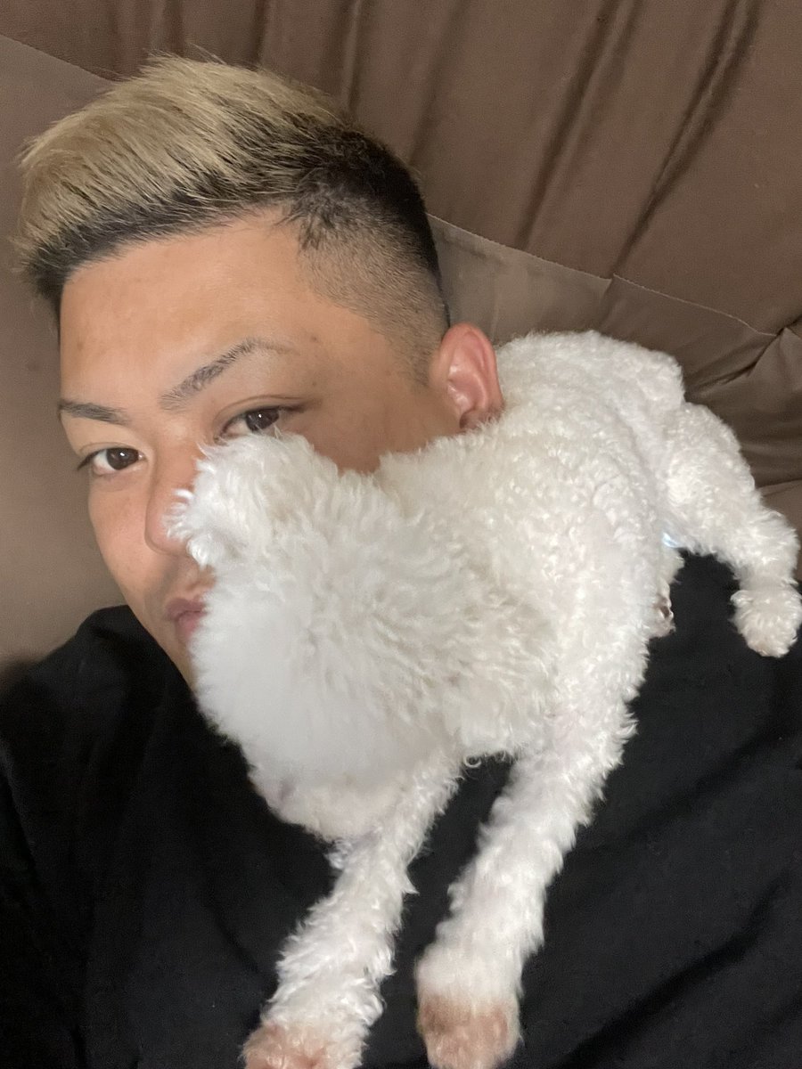 CSDFIELD1's tweet image. 家では大体こんな感じ🤣
イイネとかアクションが多いコンテンツを
探りながら投稿していきますので
宜しくお願いしますね🤲