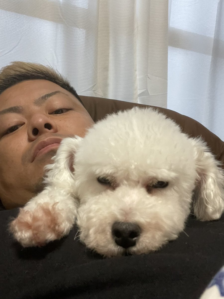 CSDFIELD1's tweet image. 家では大体こんな感じ🤣
イイネとかアクションが多いコンテンツを
探りながら投稿していきますので
宜しくお願いしますね🤲