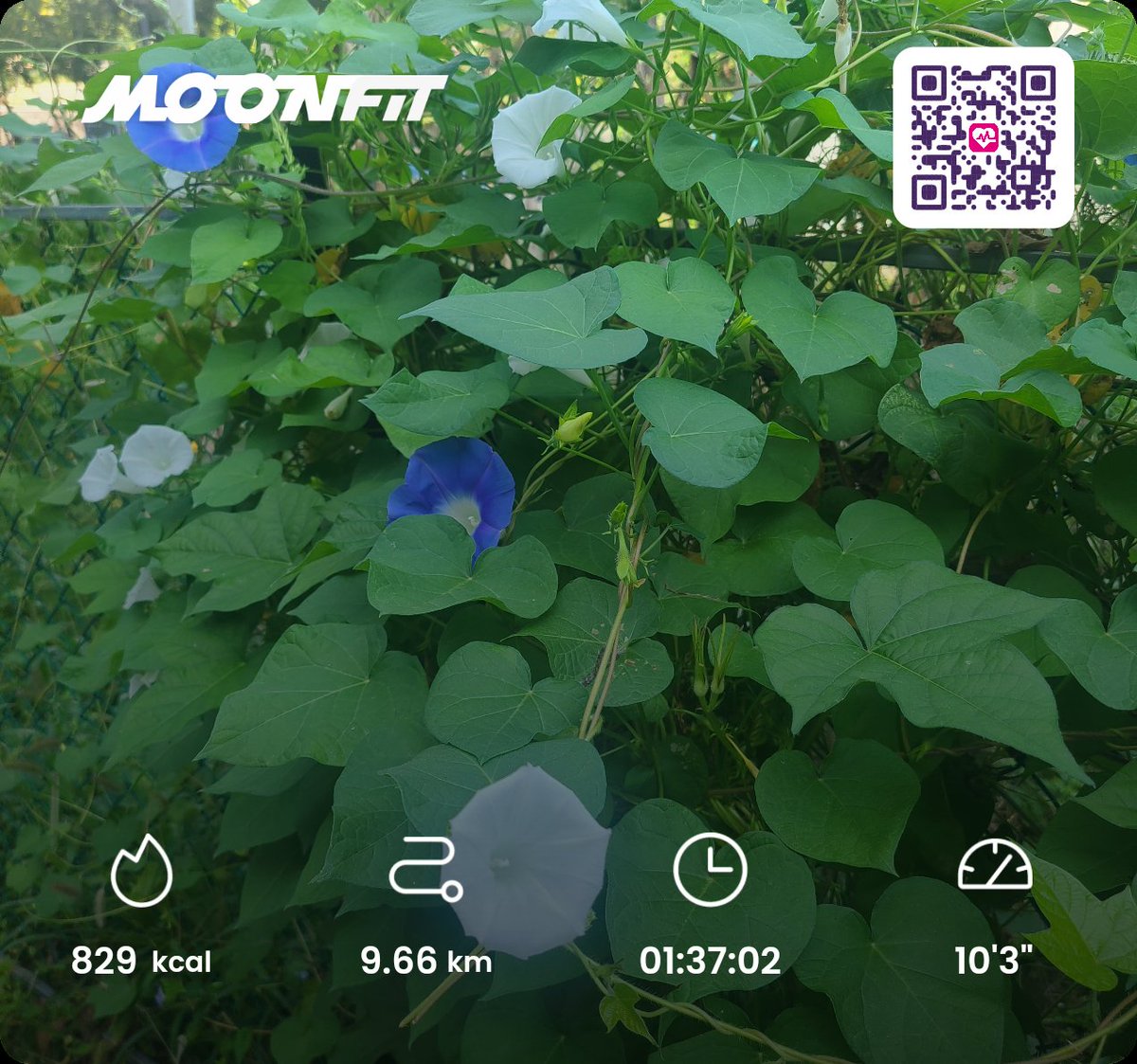 bada7935's tweet photo. #MoonFit #MoveToBurn #Moonbeam
#Beast #Beauty #M2E #NFT
#Web3Fitness
#clanfeature
#IncentivizedTestnet
#fitsnapchallenge
Daily Mission complete!
KOREA Team Fighting! π₯π₯π₯
@MoonFitOfficial https://t.co/sbPV17fIed