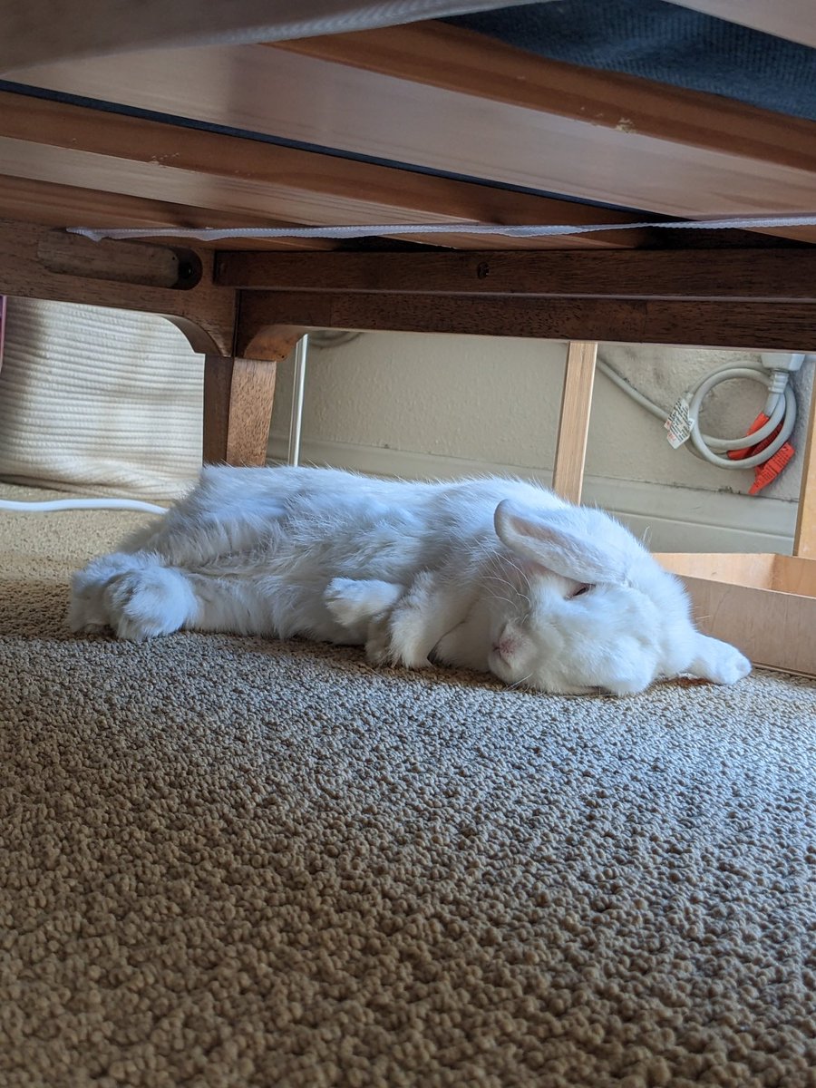 Nicole Clark tweet media