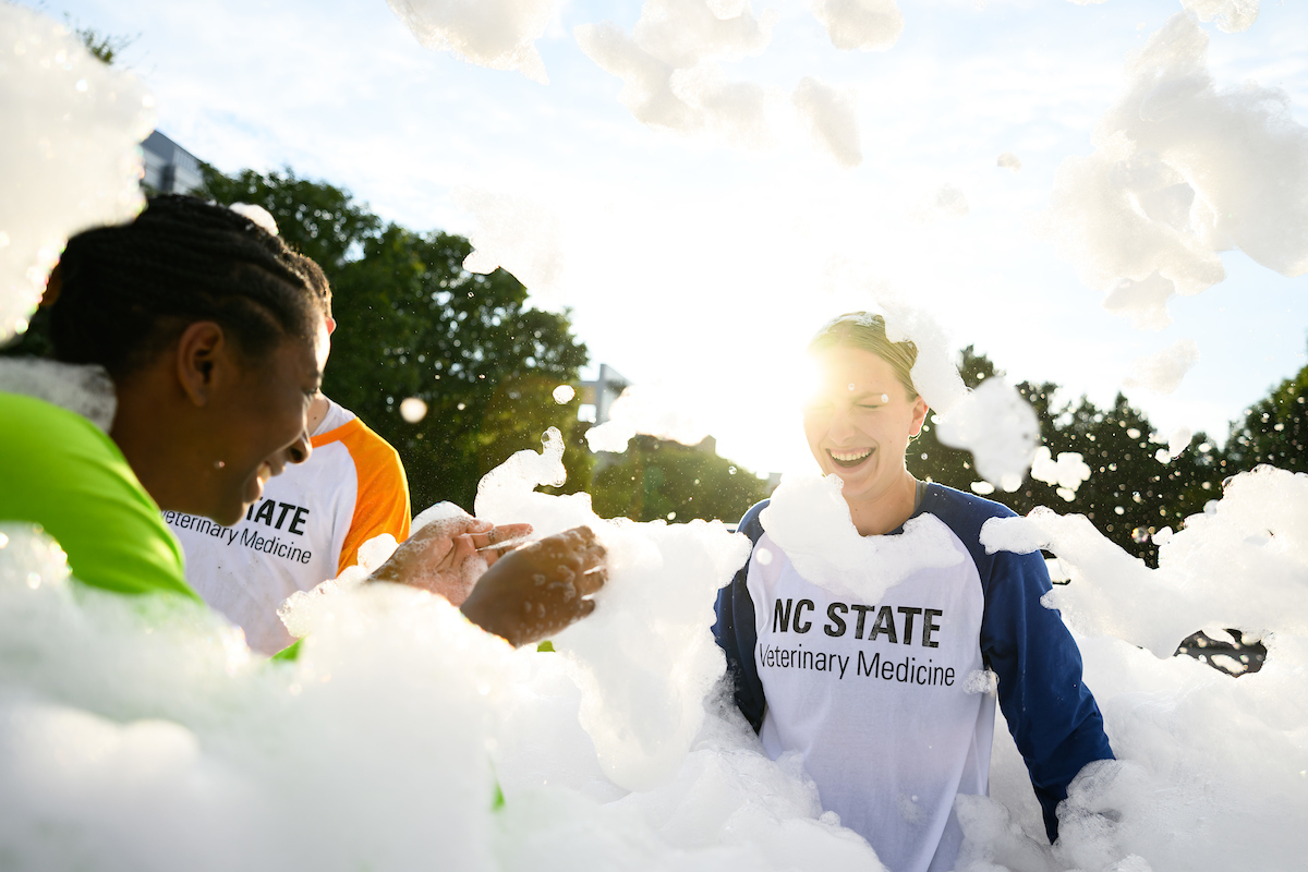 NC State Vet Medicine tweet media