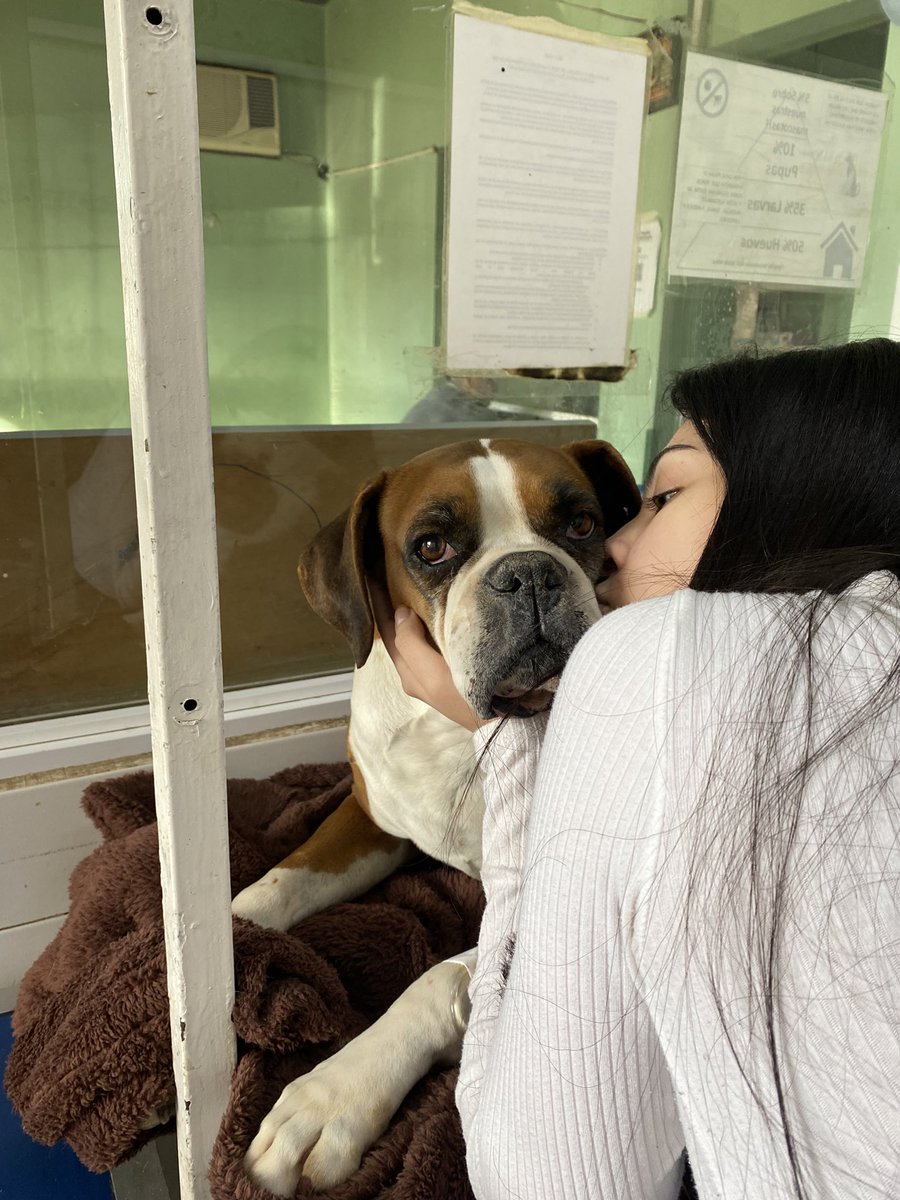 celessandoo's tweet photo. te despido con un dolor enorme mi gorda,eras mi pilar,siempre tenias la manera de hacerme sentir mejor,te voy a llevar siempre en mi corazón,descansa en paz mi dory❤️‍🩹👼🏻 https://t.co/2qhzLapWAX