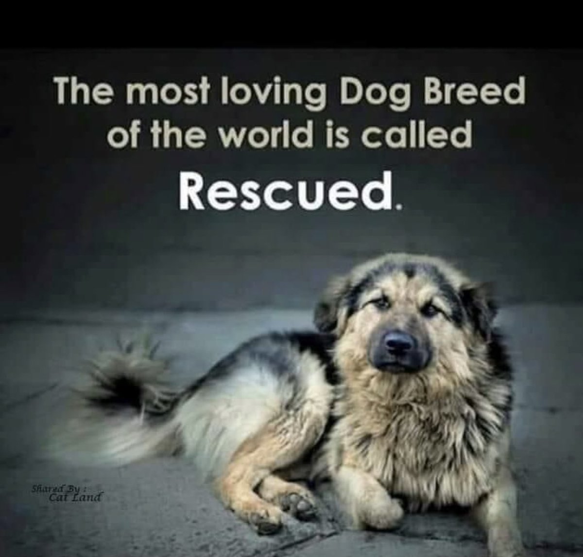 Jay Tavare tweet media