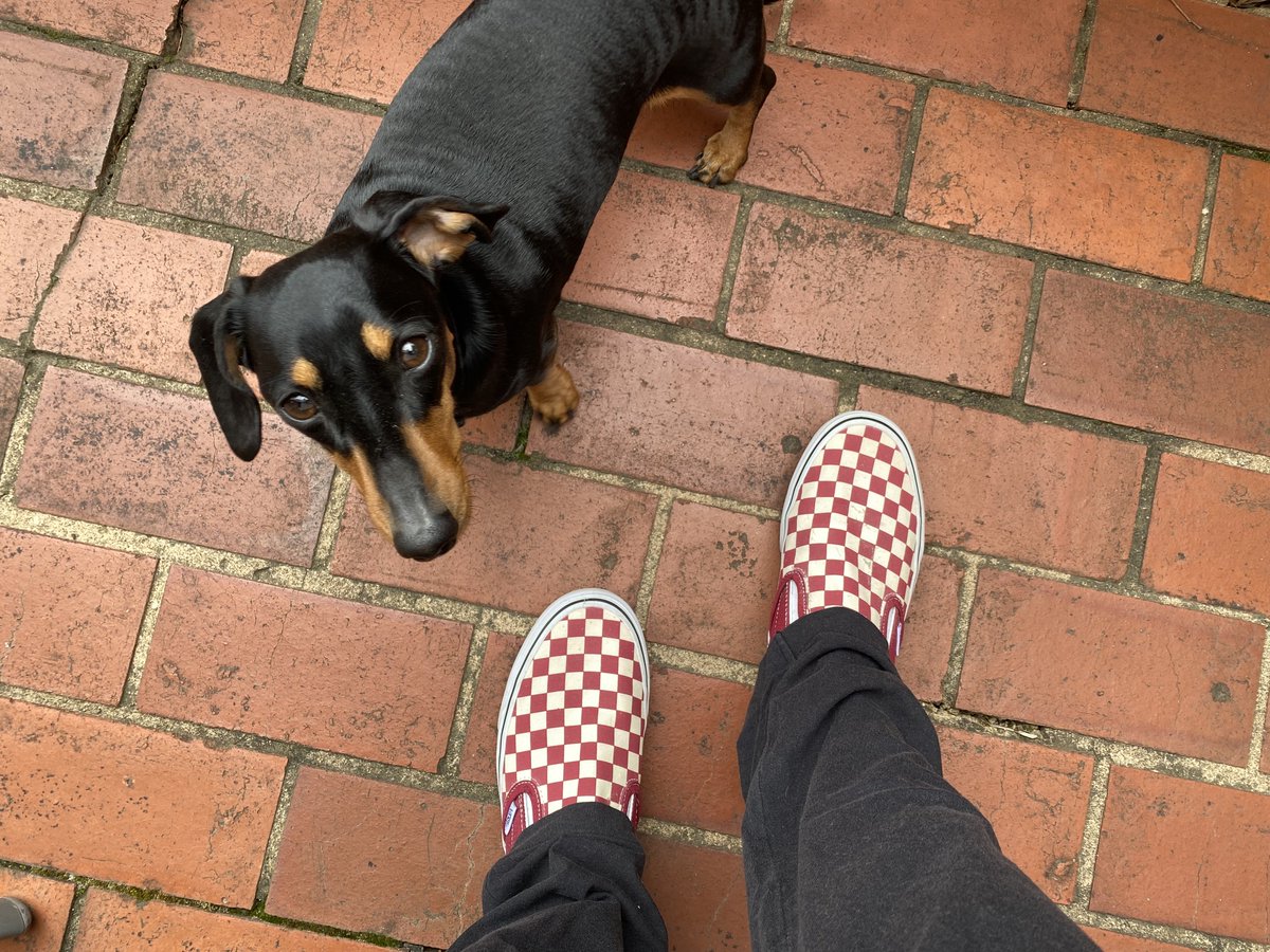 AmandaTobler4's tweet image. Today is International Fetal Alcohol Spectrum Disorder (FASD) awareness Day. Coco &amp;amp; I have put on our red shoes to raise awareness as #FASD is the leading preventable developmental disability in Australia.

To out more visit: redshoesrock.org.au
#FASDMonth2023