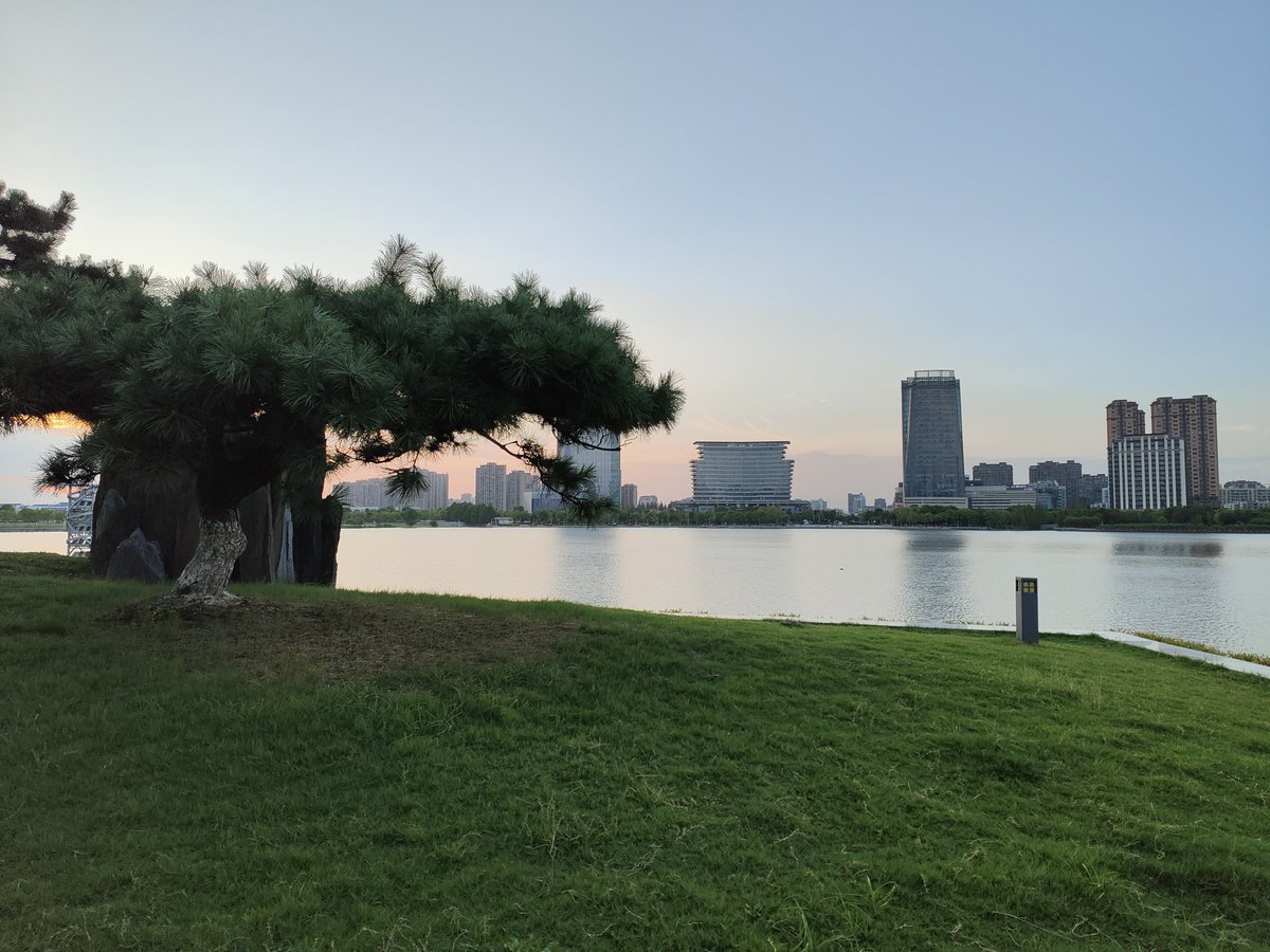 明月清风 tweet media