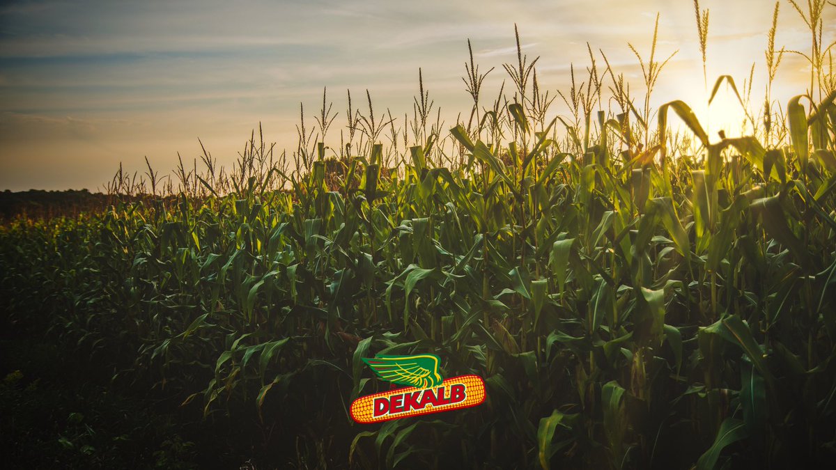 🧵 Siguiendo con los cracks del maíz, sale otro viaje por otra de las marcas de agro más reconocidas del mundo 🌽.