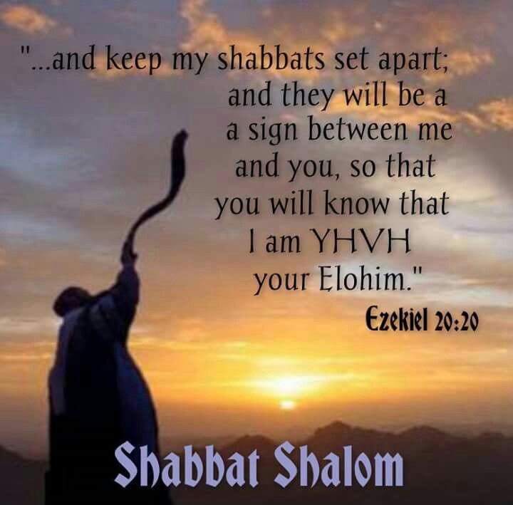 avirtuousnewme's tweet image. 👑🙏🏾SHABBAT SHALOM FAMILY🙏🏾👑#Sabbath #KeepItHoly #APTTMH