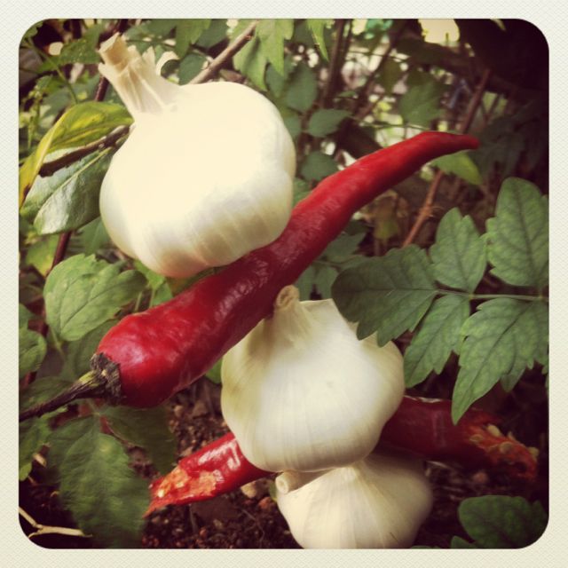 xtemujin360Resources 🇸🇬 tweet media