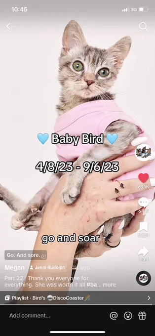 the world is so unfair to these precious kittens.... 