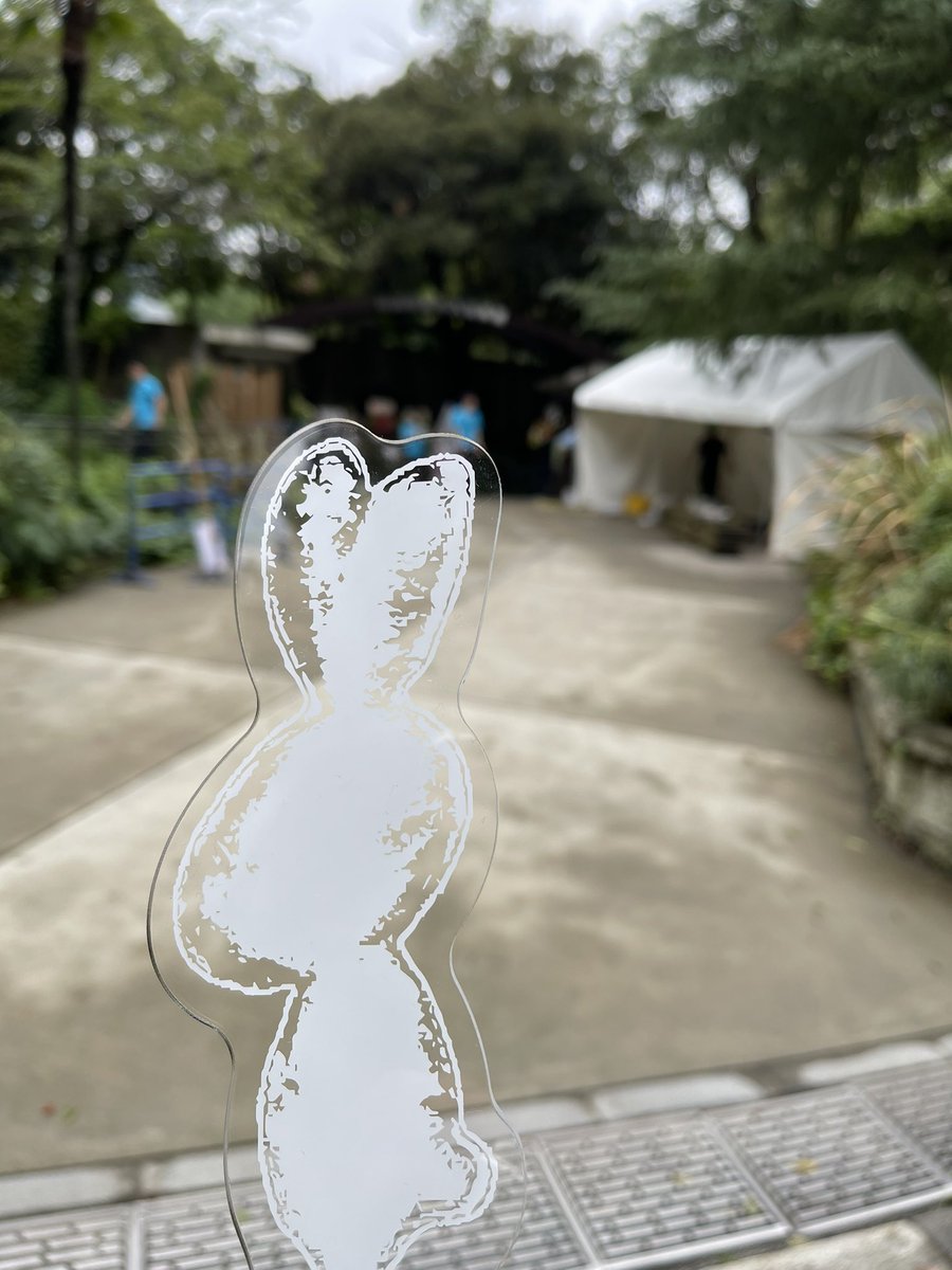 ryosuke_dayo's tweet photo. 雨止んで良かった。
Tシャツも無事買えそう。
#大塚愛 
#LOVEISBORN 
#aiotsuka https://t.co/TtMCyvC5wj