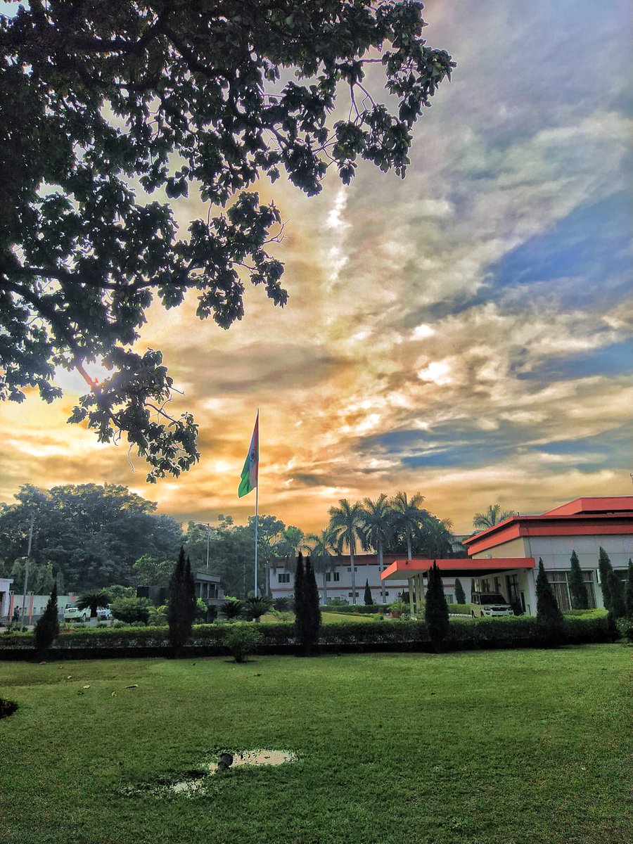 abhigarg56's tweet image. #opju #opjuraigarh #beautifulcampus #nature
@MPNaveenJindal 
@shallujindal20