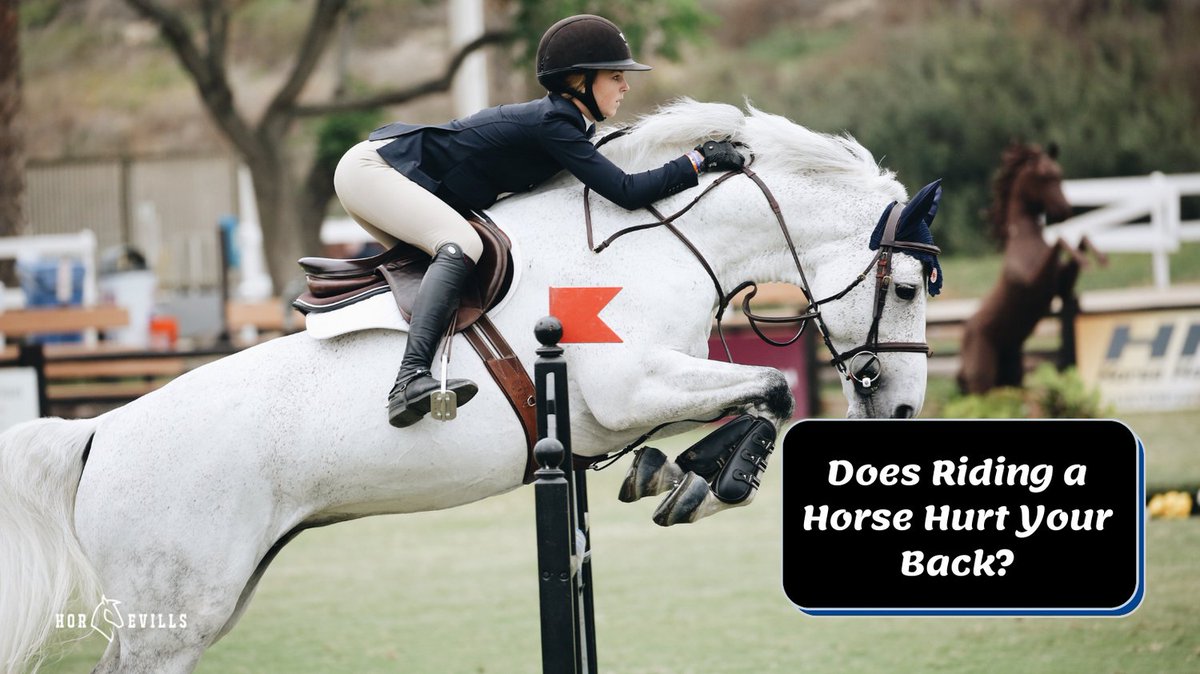 Ever wondered if riding a horse can impact your back? 🐎 Let's debunk the myths and get the facts straight! Dive in: horsevills.com/does-riding-ho… #EquestrianLife #BackHealth