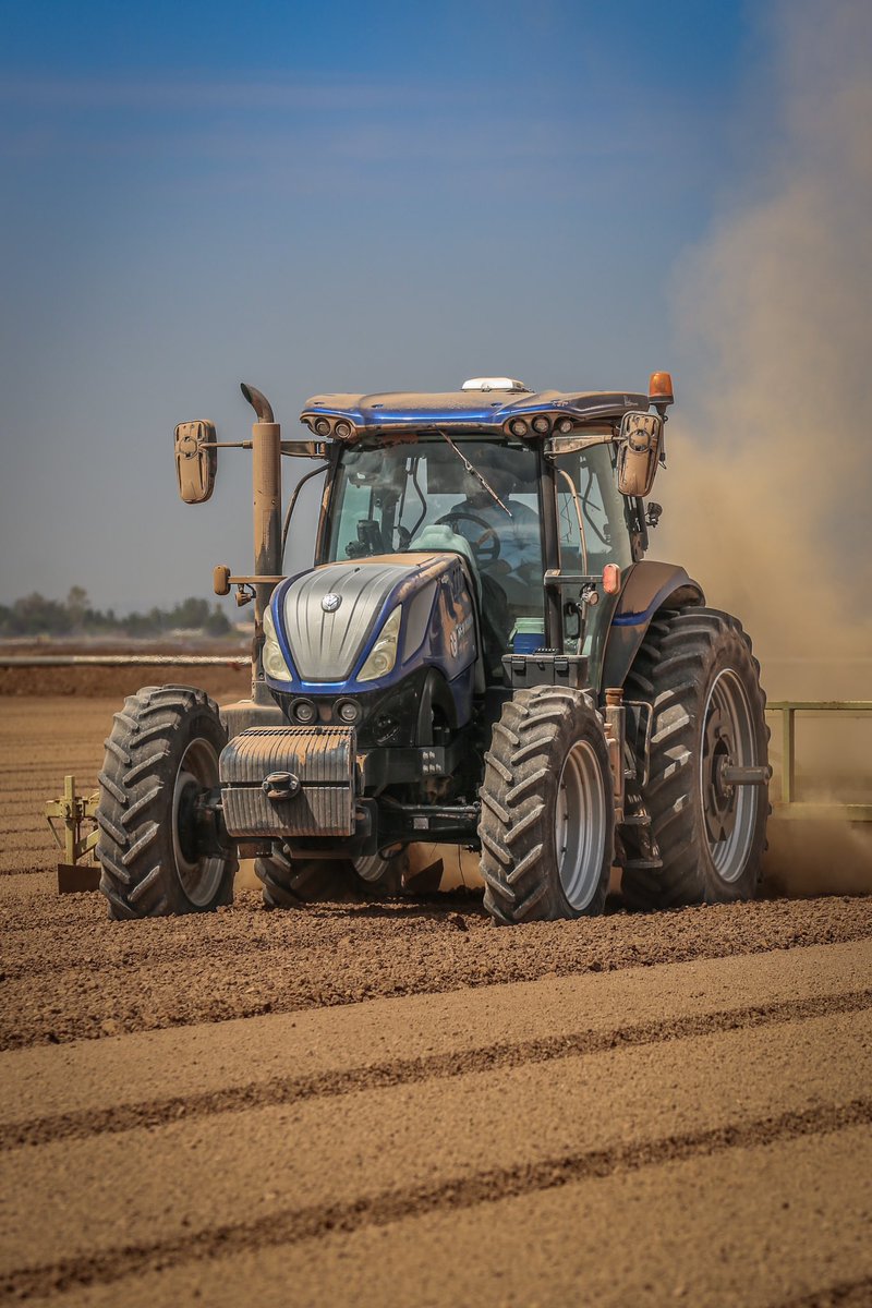 Next up, more parsley! #arizonafarmlife #newholland