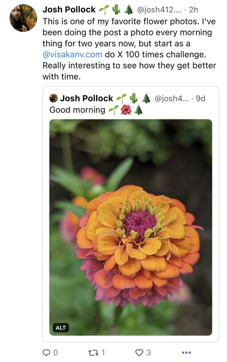 Visa is doing marketing consults (see pinned!) tweet media