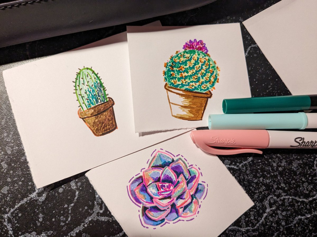 kittybatart's tweet photo. succulents drawn with markers ✨ https://t.co/jwAQ3T36k0