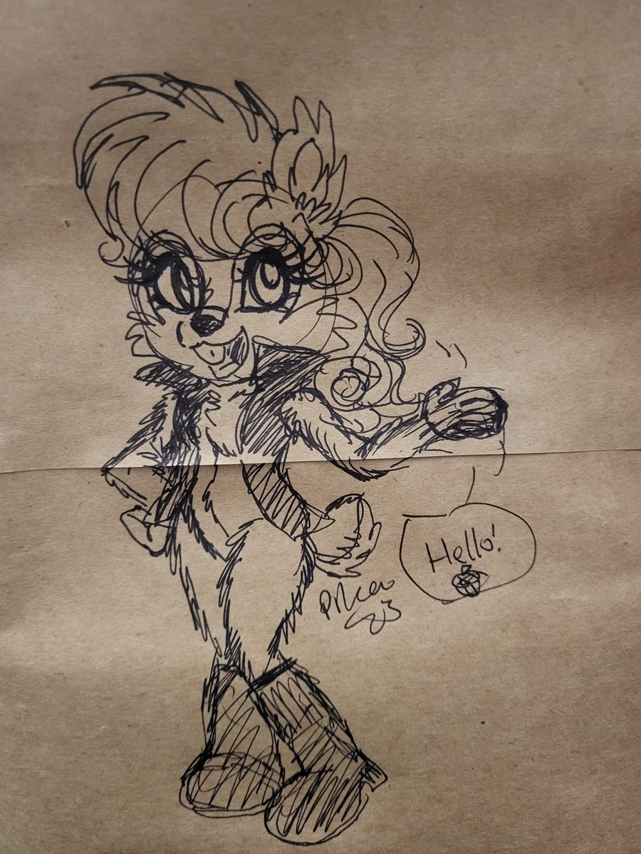 I drew 💫the girl💫 on a paper bag bc I dunno #sallyacorn #rally4sally #sally4all #archiesonic #sonicsatam #SonicTheHedgehog