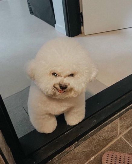 taylorvanzuiden's tweet photo. me when I hear laney say something silly over the headset at work to a customer and I’m gearing up for the roast https://t.co/9mv4RrhGyI