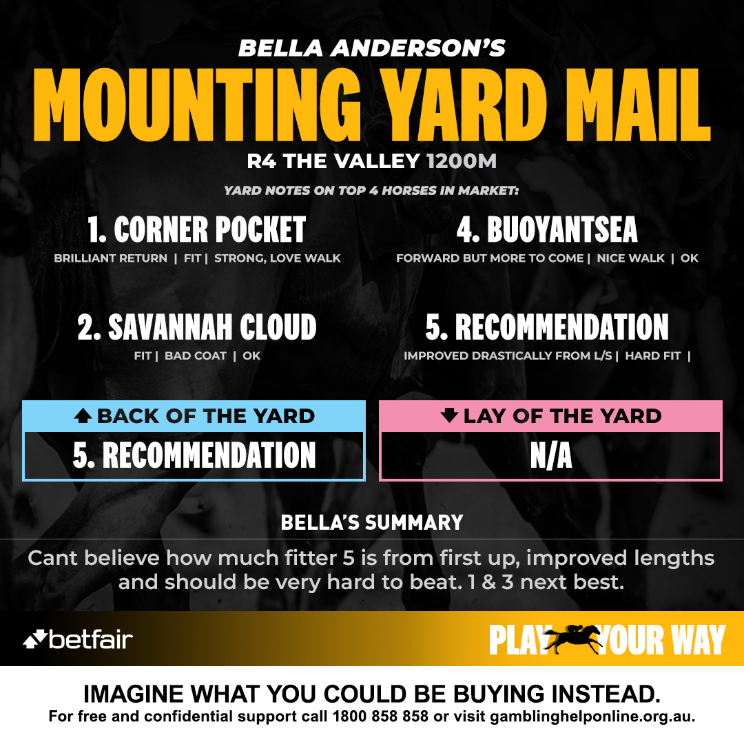 Bella Anderson tweet media