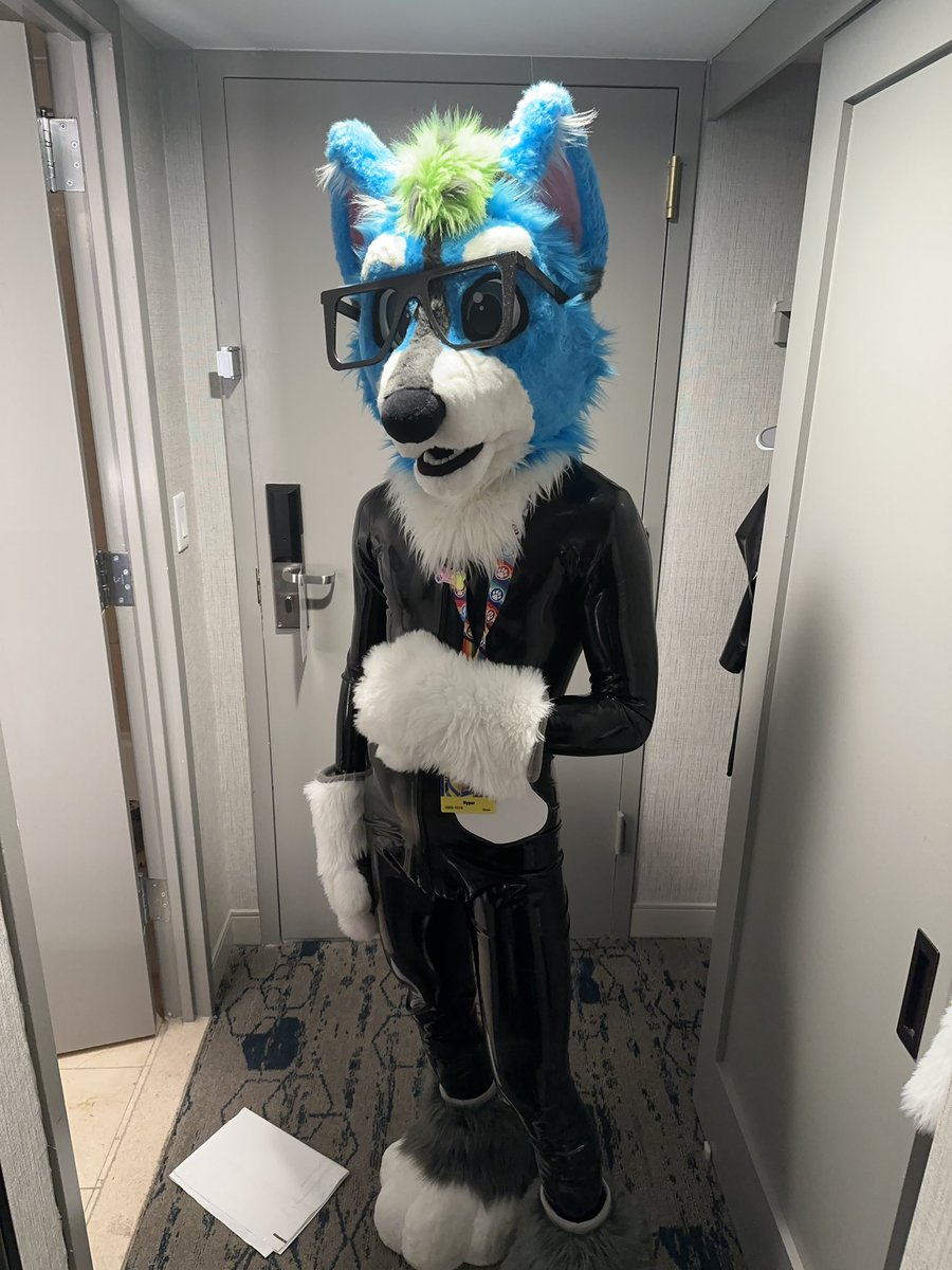 A shiny doggo for #FursuitFriday

📸: <a href="/CalixDoggo/">Calix🔜MIR</a>